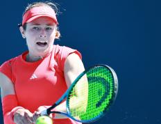 南宫体育-科维托娃遭遇十连败，利物浦教练面临压力！的简单介绍